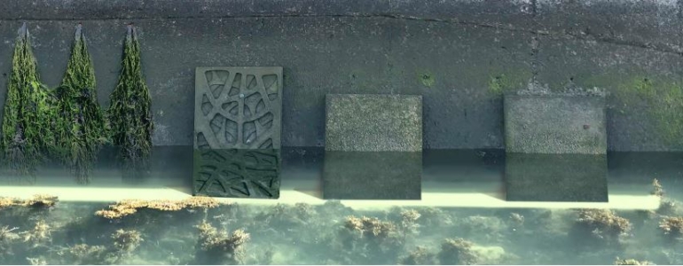 co-conception-portuaire-bretagne-770x300_1_1