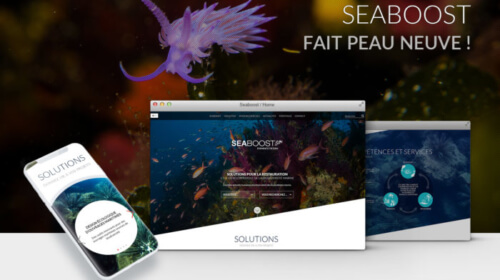 actu_new_site_web-e1584627897980-500x280_1_1