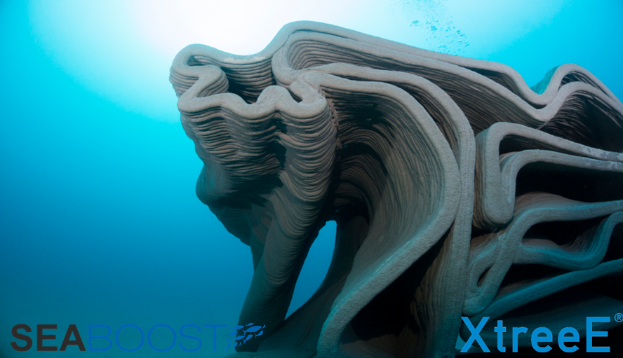 3D béton coralligène Seaboost XTreeE Julien Dalle 2
