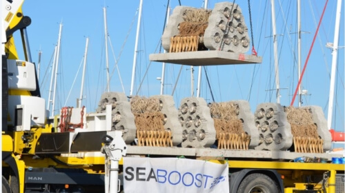 seaboost-3-500x280_1_1