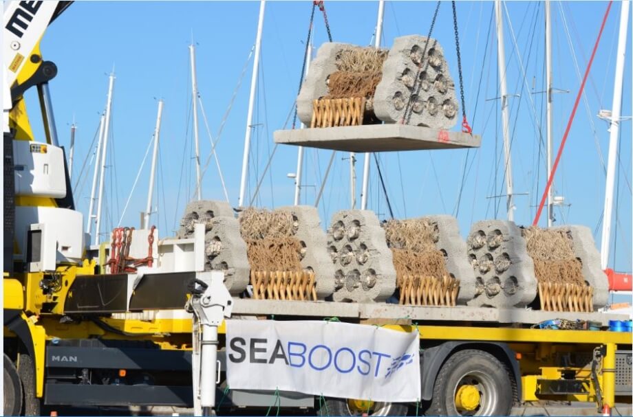 seaboost-3-920xauto_1_1